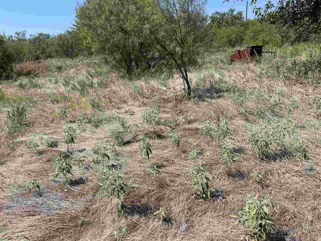 0000 Hwy 380, Throckmorton, Texas image 14