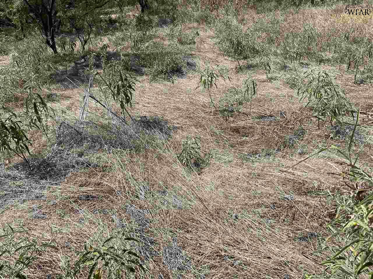 0000 Hwy 380, Throckmorton, Texas image 18