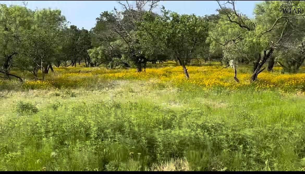 320 Pumphrey Road #LOT 6, Loving, Texas image 3