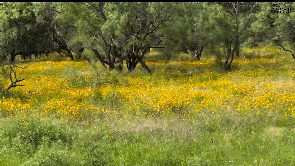 320 Pumphrey Road #LOT 6, Loving, Texas image 2
