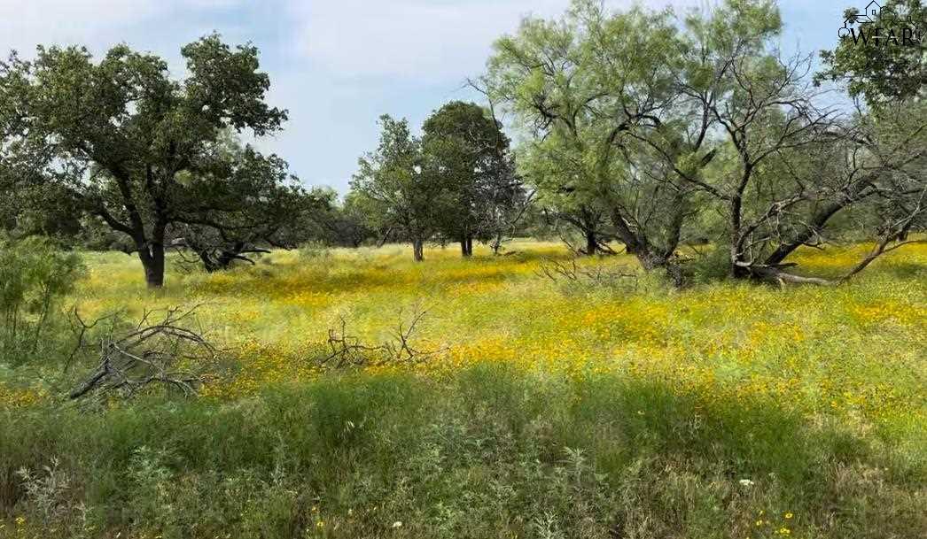 320 Pumphrey Road #LOT 6, Loving, Texas image 1