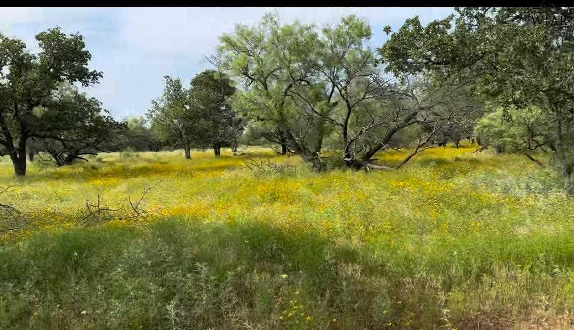 320 Pumphrey Road #LOT 6, Loving, Texas image 5