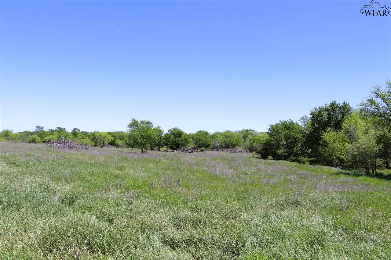 10543 Old Joy Shannon Rd, Henrietta, Texas image 10