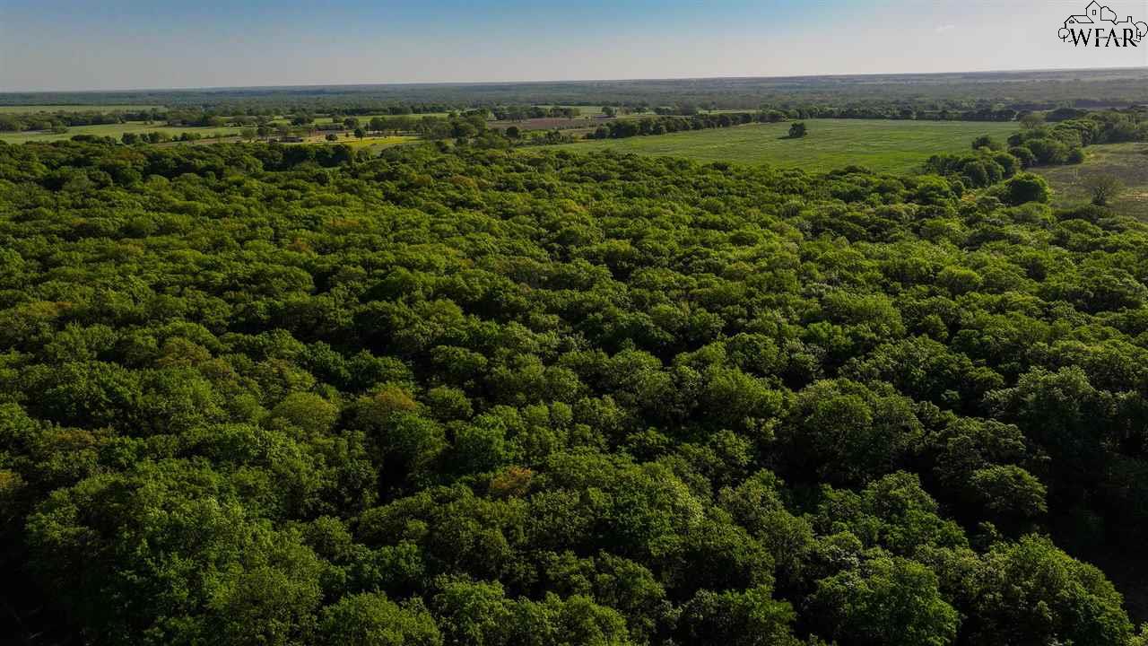 TBD Fm 103 #SPANISH FORT, Nocona, Texas image 23