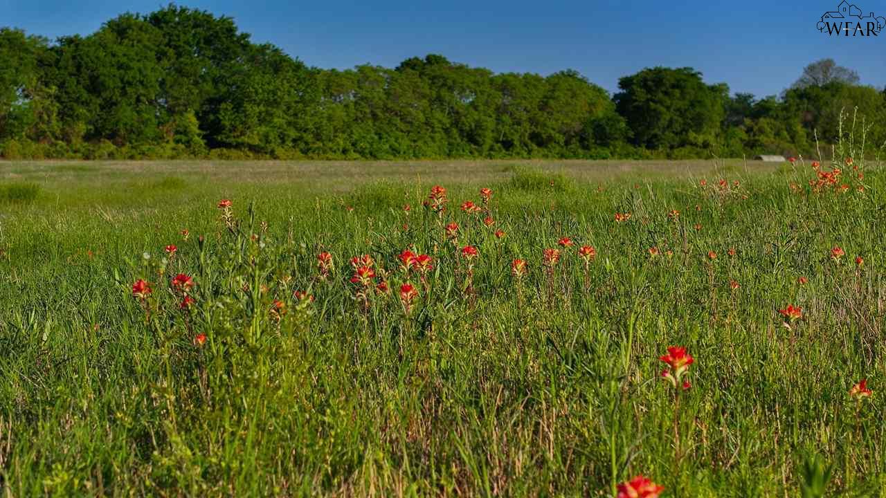 TBD Fm 103 #SPANISH FORT, Nocona, Texas image 6