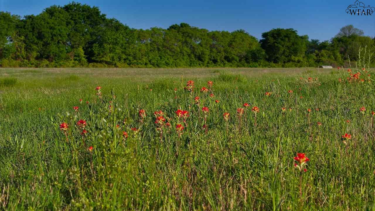 TBD Fm 103 #SPANISH FORT, Nocona, Texas image 15