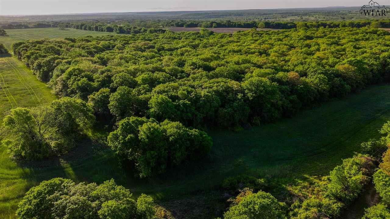 TBD Fm 103 #SPANISH FORT, Nocona, Texas image 20