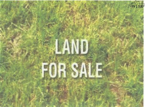 Vacant Land For Sale - TBD Fm 1954<br/> Holliday, TX 76366