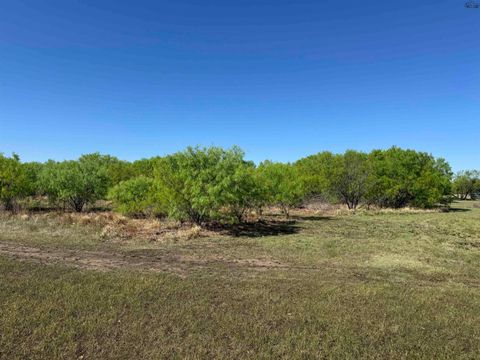 Vacant Land For Sale - E Fm 367<br/> Wichita County, Iowa Park, TX 76367