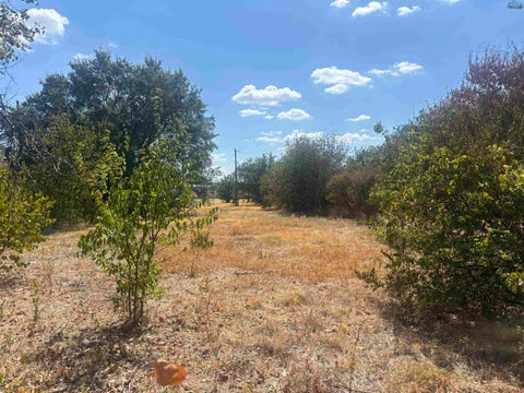 Vacant Land For Sale - 1519 Elizabeth Avenue<br/> Wichita Falls, TX 76301