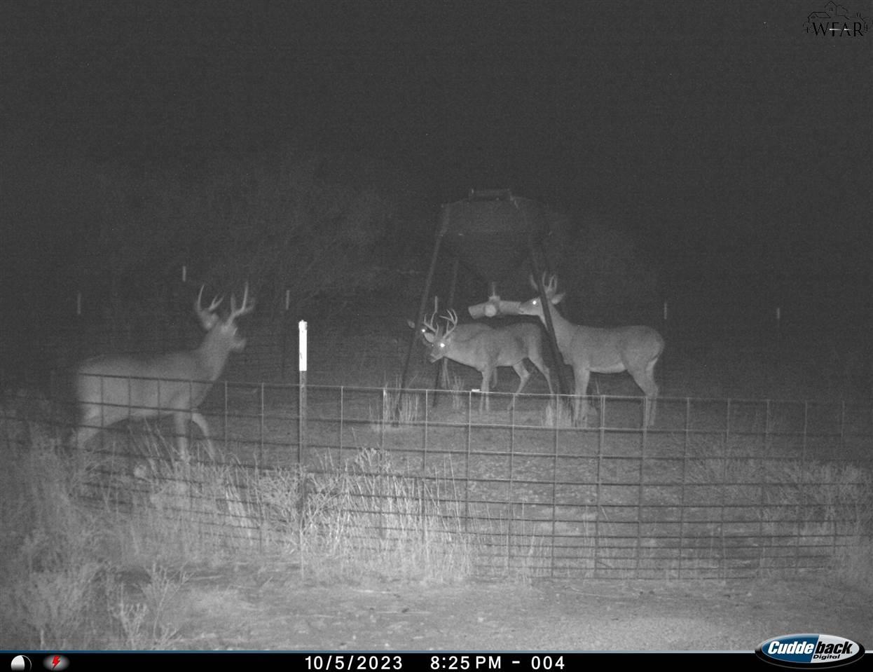 TBD Fm 367, Electra, Texas image 9