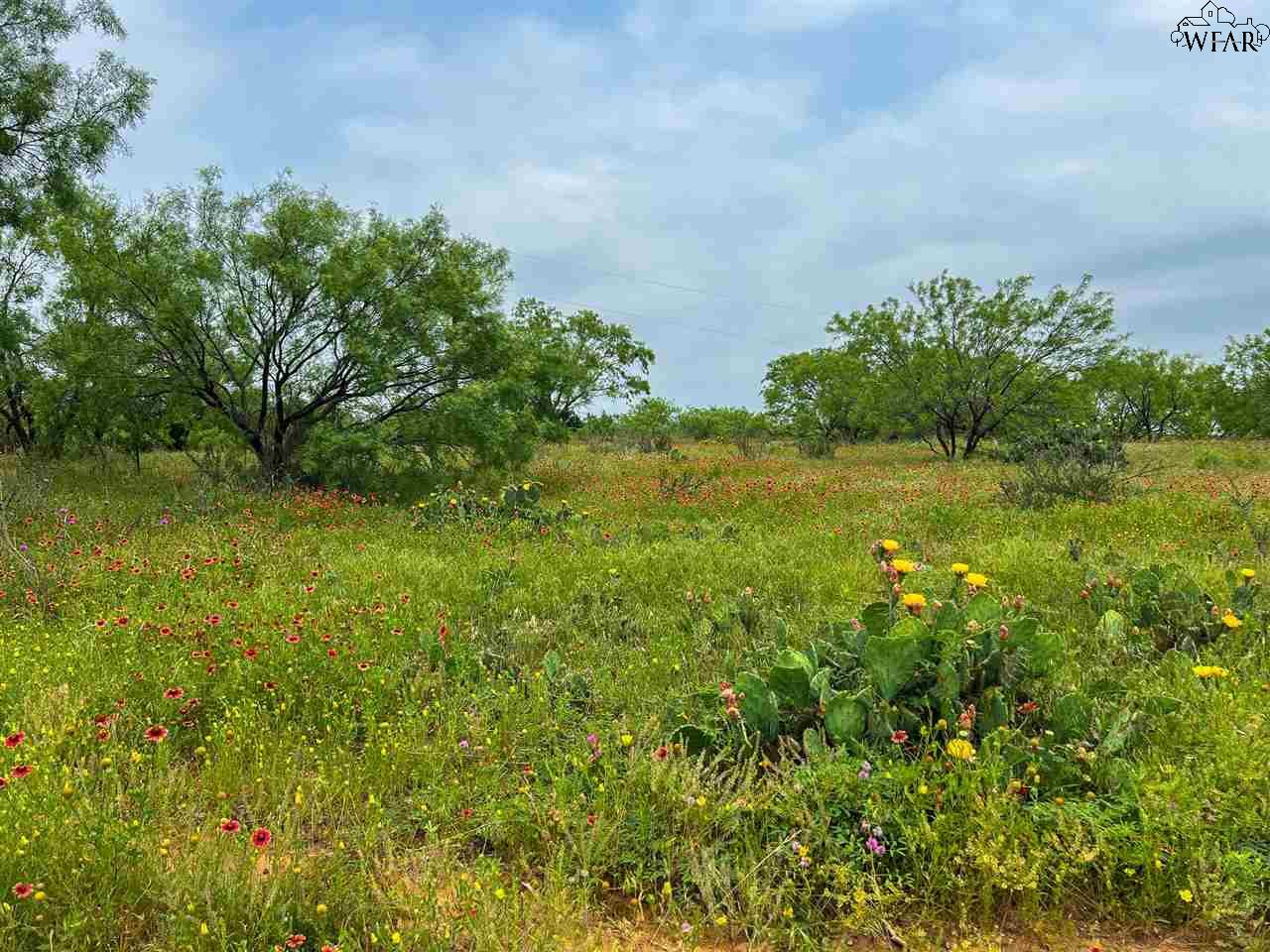 1570 Cr 383, Woodson, Texas image 8