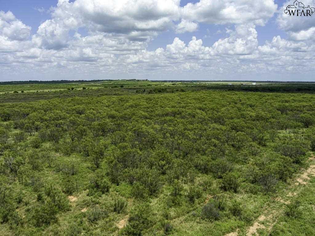 TBD Wells Road, Holliday, Texas image 3