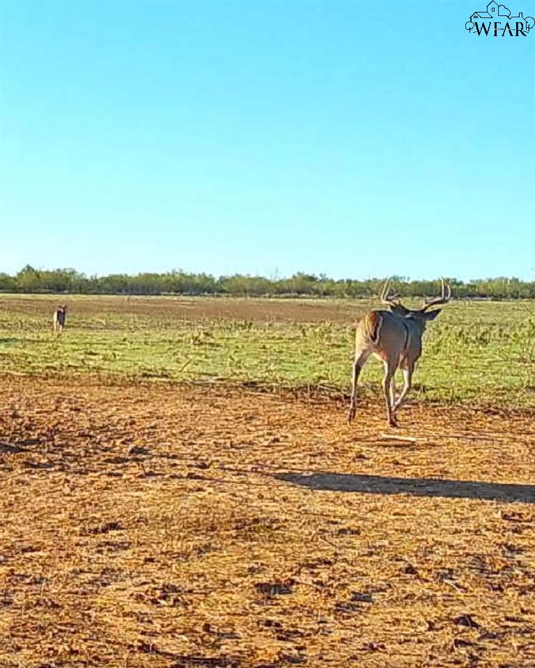 TBD Hwy 25, Electra, Texas image 27