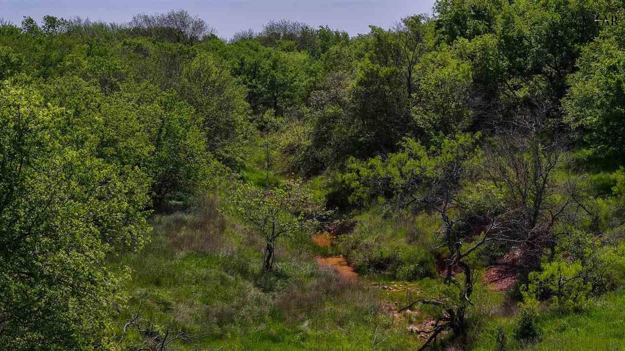 TRACT 4 Rock Springs School Rd, Montague, Texas image 17