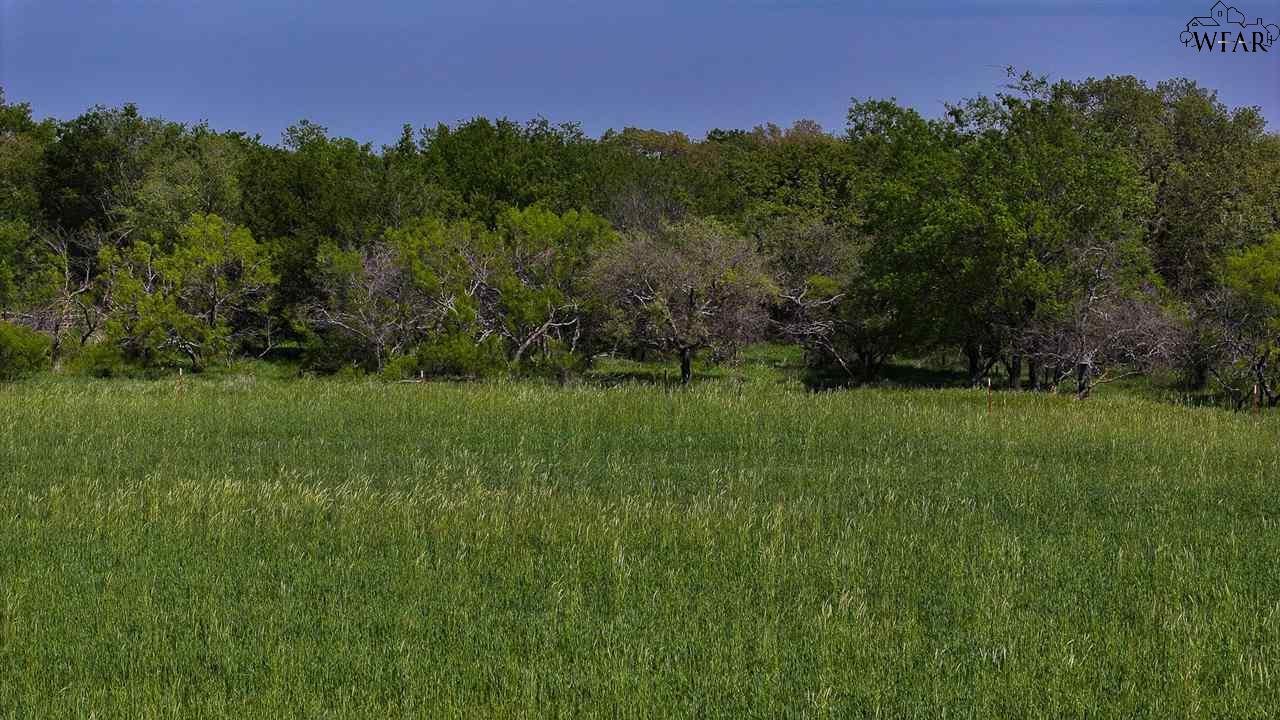 TRACT 4 Rock Springs School Rd, Montague, Texas image 6