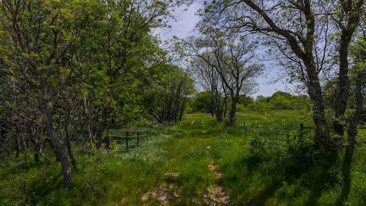 TRACT 4 Rock Springs School Rd, Montague, Texas image 7