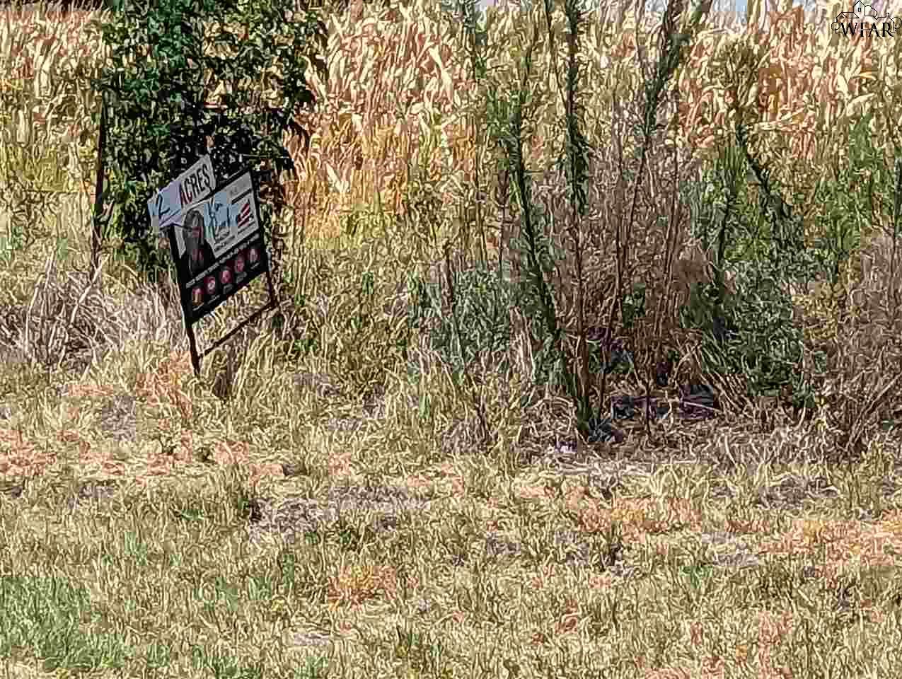 2154 Avenue F, Wichita Falls, Texas image 3