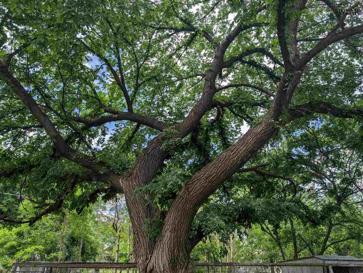 405 E 5th Street, Burkburnett, Texas image 21