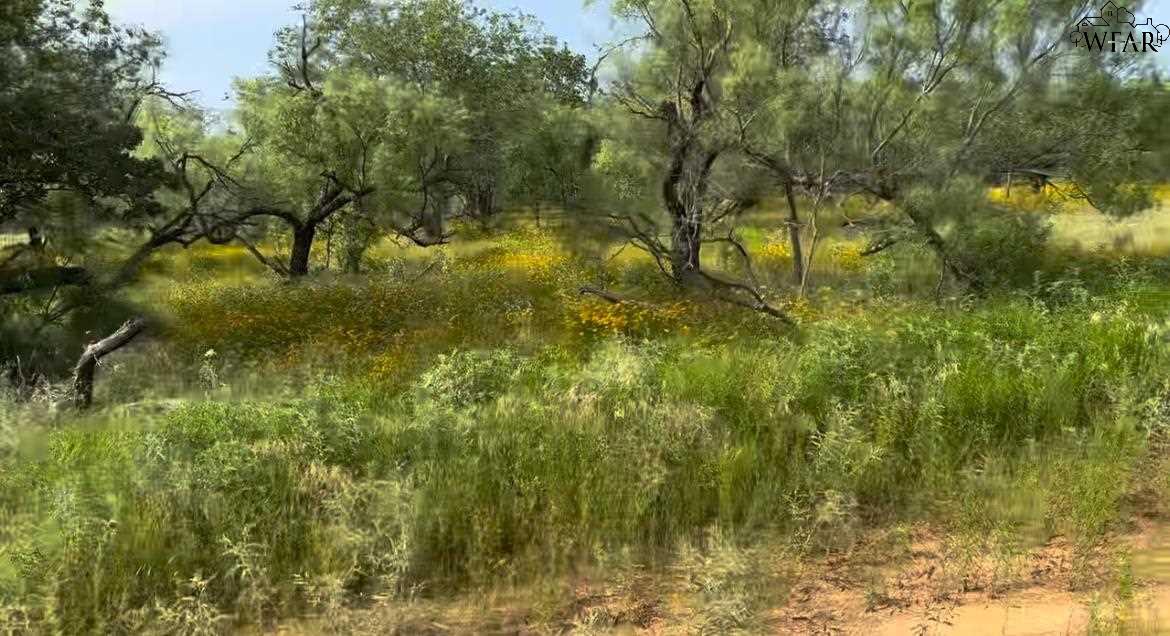 320 Pumphrey Road #LOT 3, Loving, Texas image 4