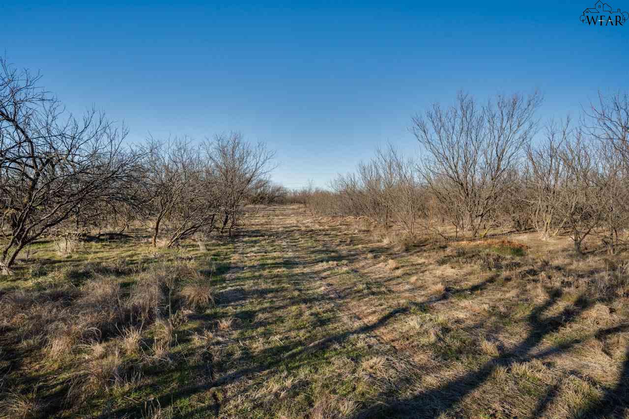 432 Bw Stone Ranch Road, Holliday, Texas image 20