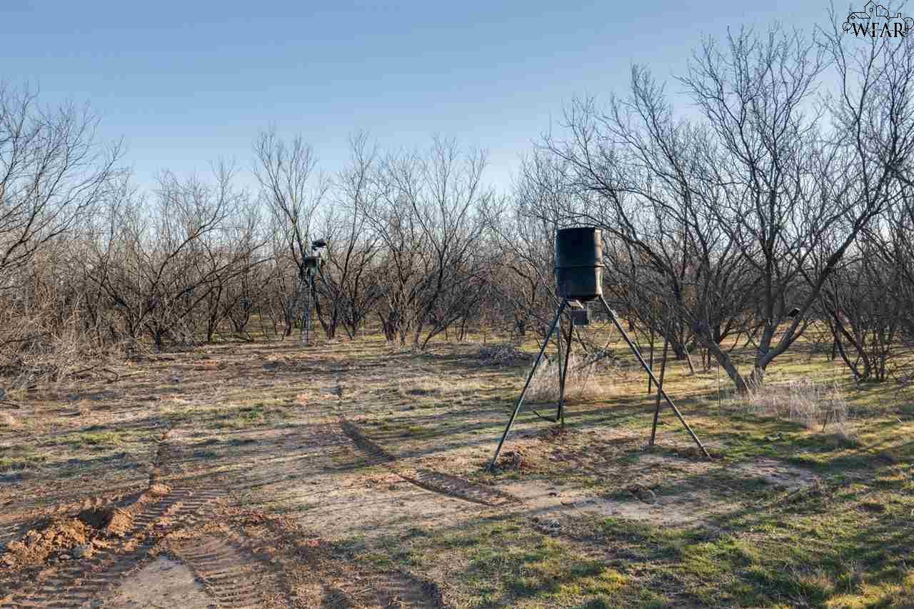 432 Bw Stone Ranch Road, Holliday, Texas image 19