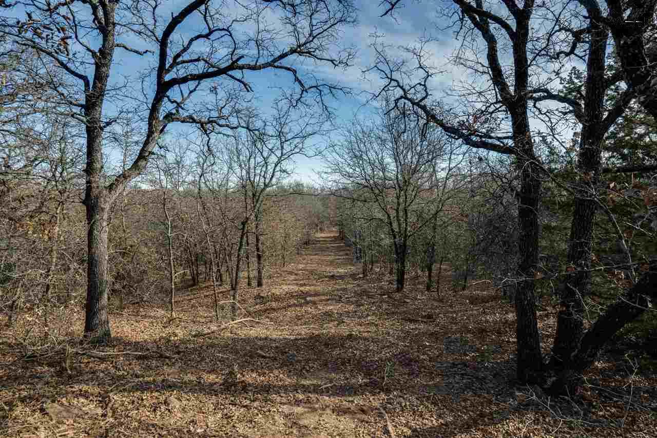 100 AC Fm 2127, Jacksboro, Texas image 19