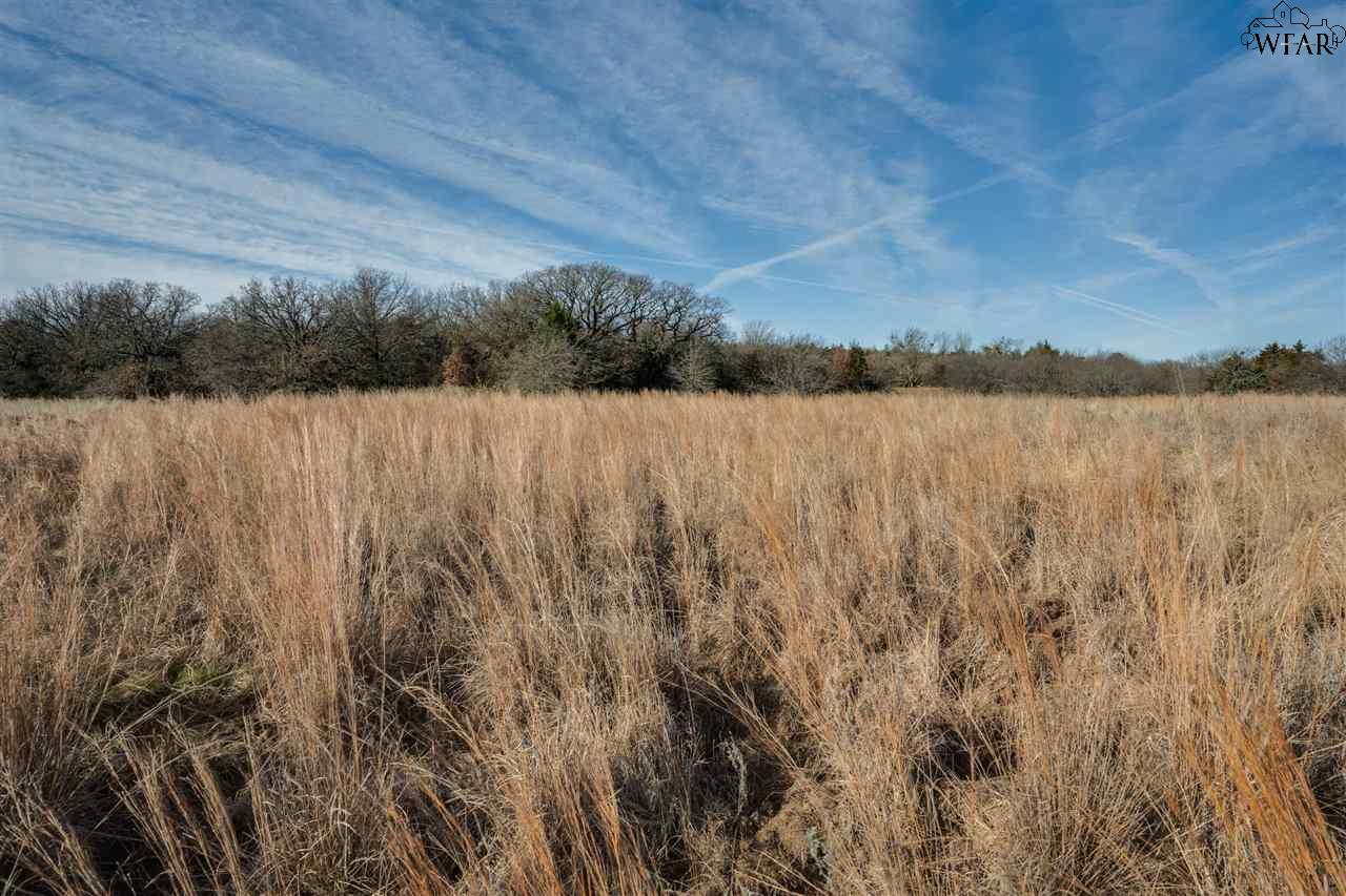 100 AC Fm 2127, Jacksboro, Texas image 18