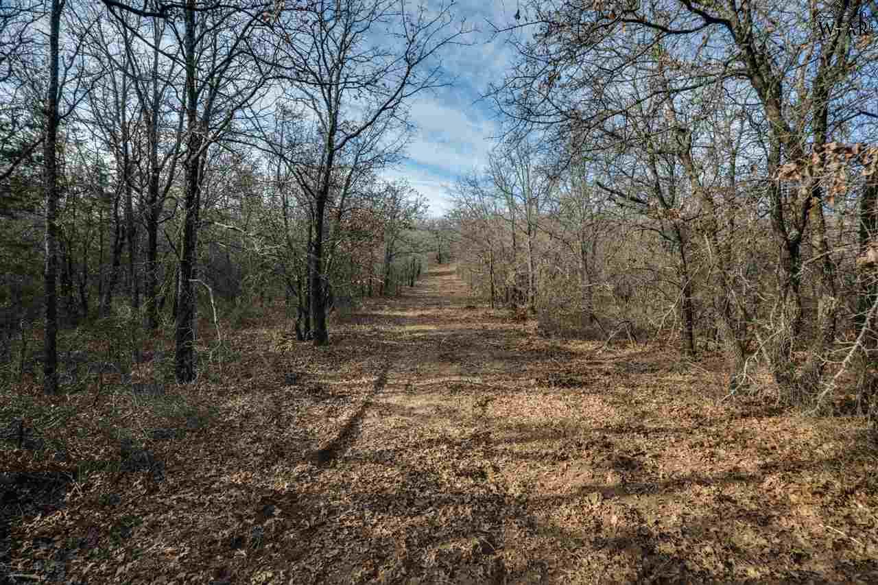 100 AC Fm 2127, Jacksboro, Texas image 30