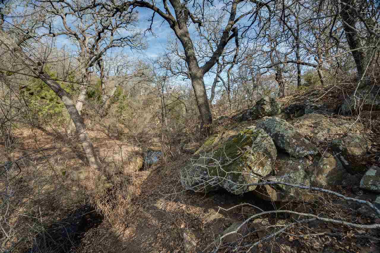 100 AC Fm 2127, Jacksboro, Texas image 23