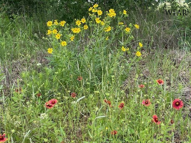 26.5 Acres S Hwy 148, Henrietta, Texas image 25