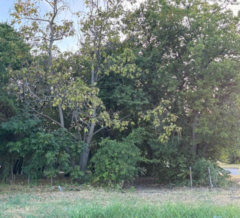 Vacant Land For Sale - 600 Farris Street<br/> Wichita Falls, TX 76301