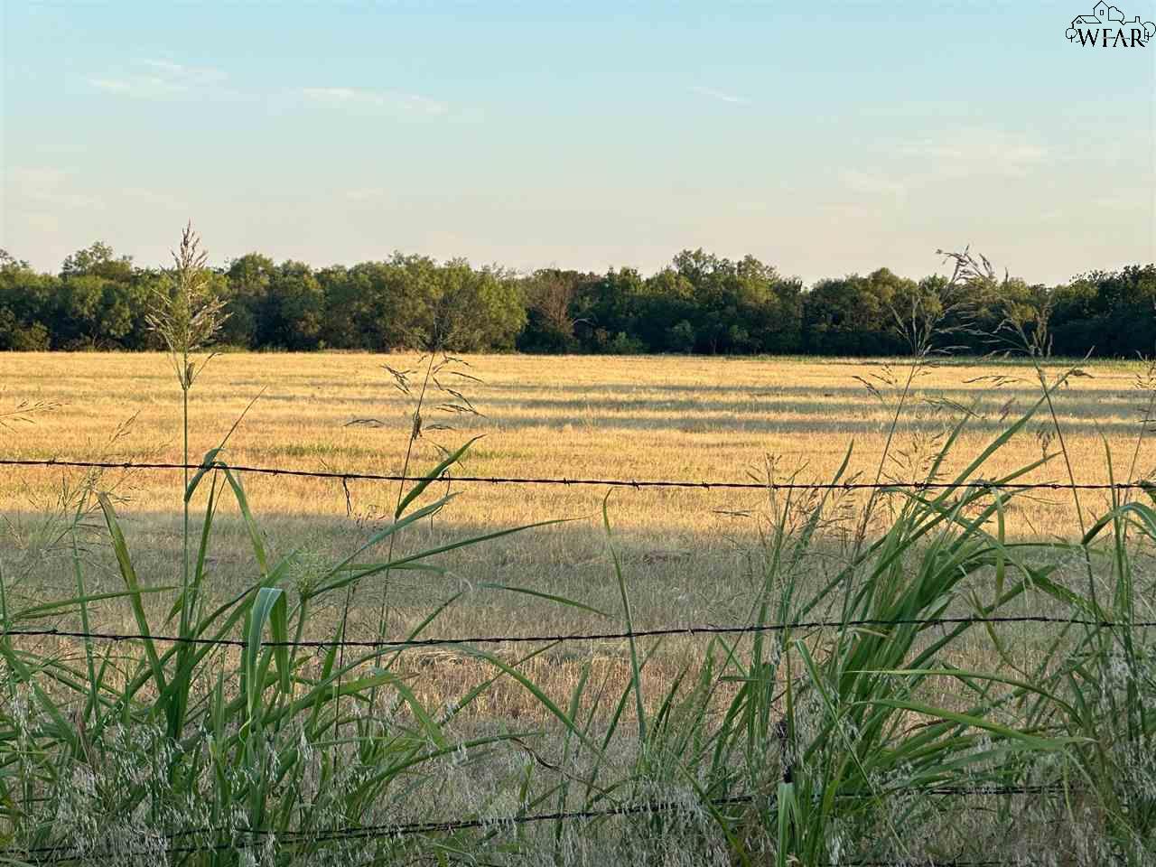 Horseshoe Lake Road #TRACT 1, Iowa Park, Texas image 3