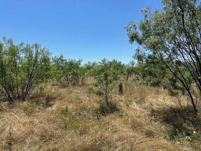 102 Hwy 254, Graford, Texas image 10