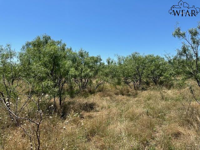 102 Hwy 254, Graford, Texas image 6