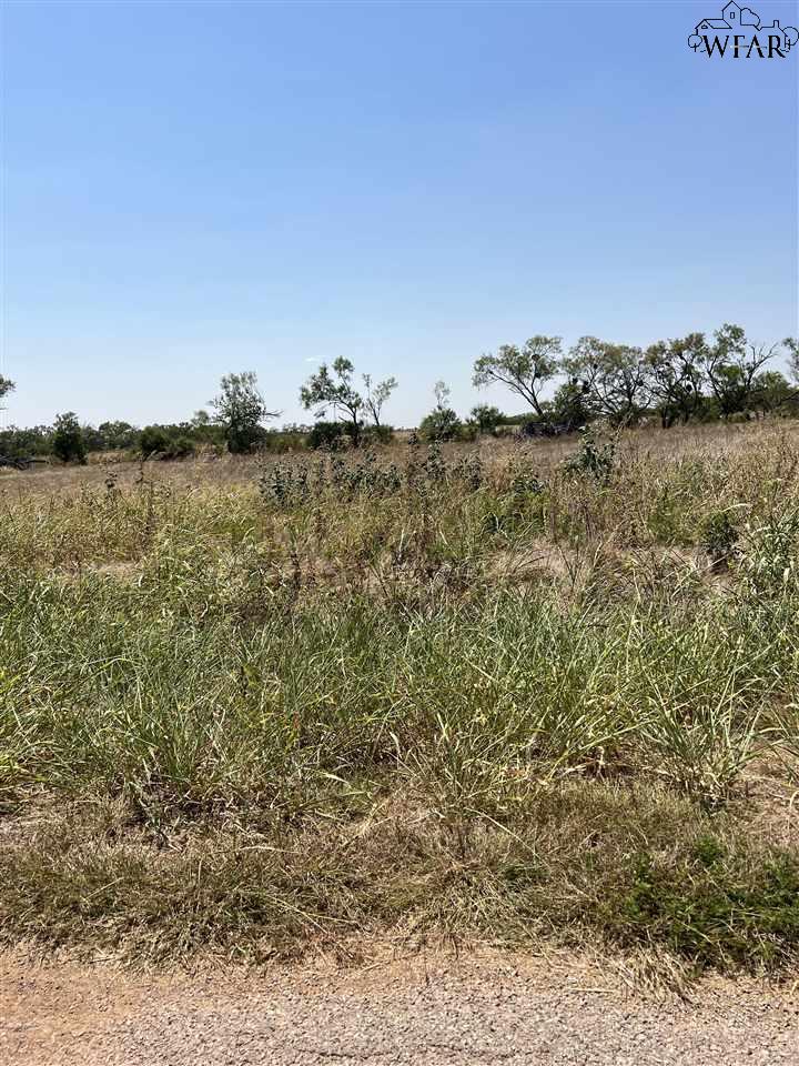 14 Hodges Road, Iowa Park, Texas image 1