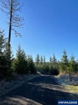 BUCK HOLLOW RD 18, SHERIDAN, OR 97378 - Image 01d664558c0e89399deb272cd026ea8c/2433433713