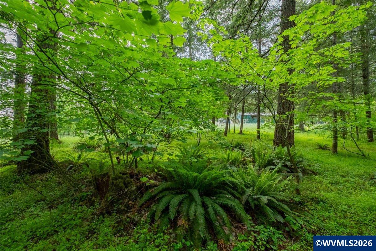 TA 0057485 Next to 40587 Rd