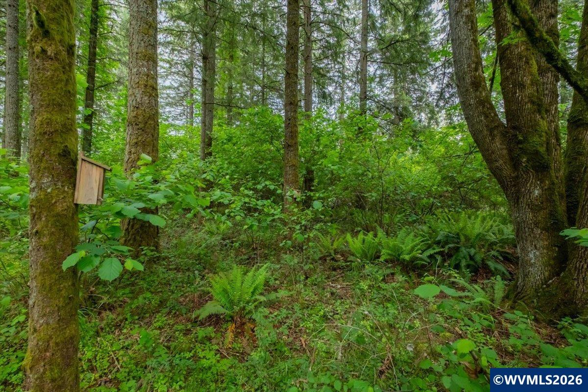 TA 0057485 Next to 40587 Rd