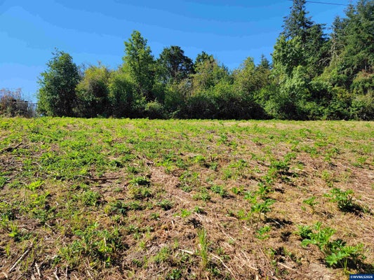 NW OAK GROVE WAY LOT ADJ, ALBANY, OR 97321 - Image 0c2b5da60462e47c961945c409ca72b5/1636111516