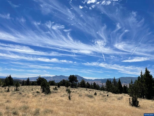 PARCEL #2429 WILEY CREEK DR, DAYVILLE, OR 97825 - Image 15d99d5e26dc8389446c9564bc4e51b8/2600600246