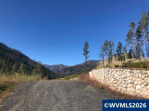 105 1st St W Detroit OR 97342