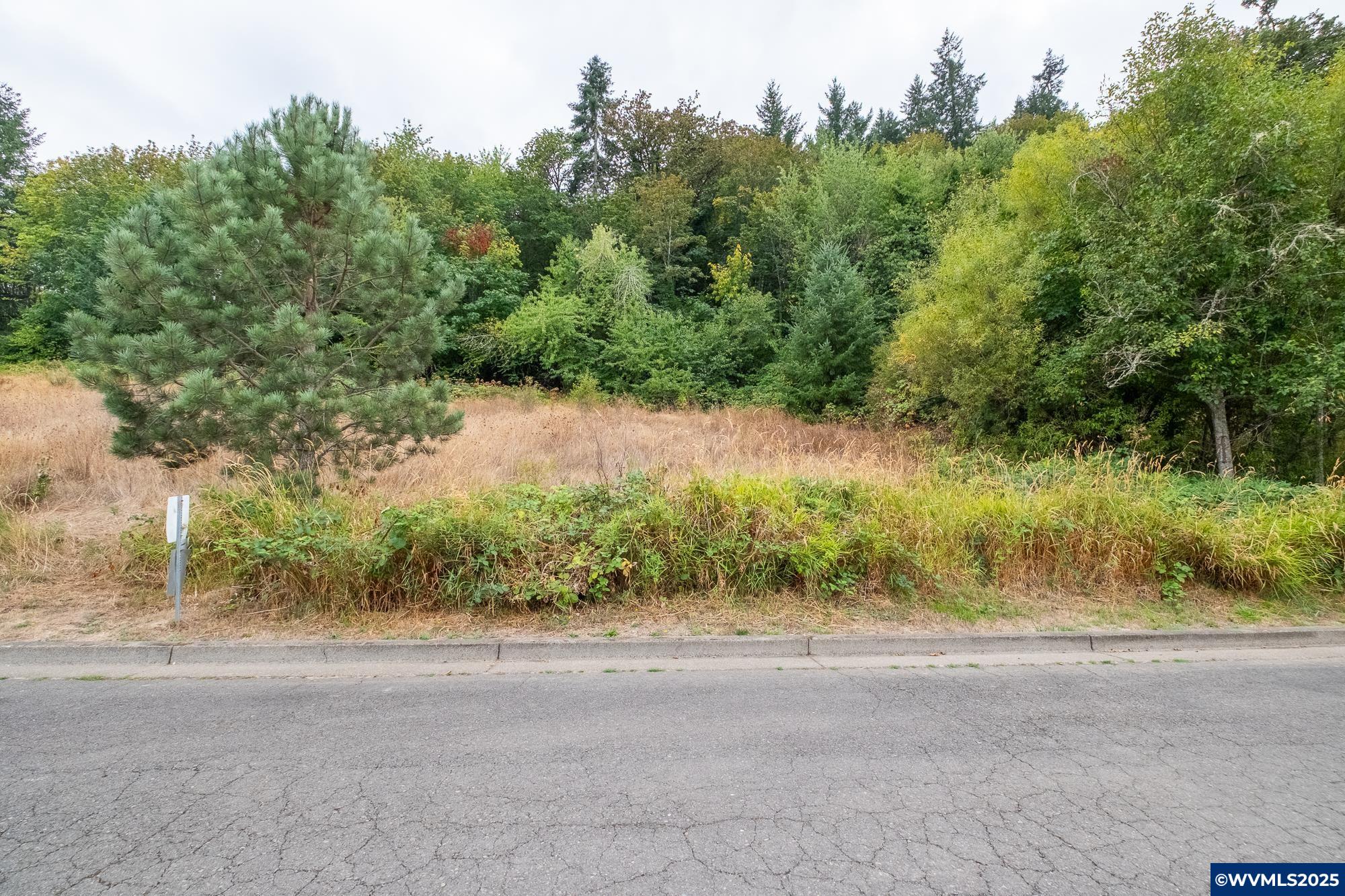 Salem, Oregon 97304, United States, ,Land,Active,211061