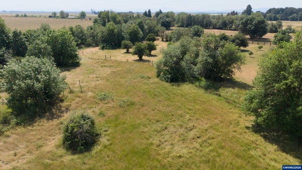 1501 APPLEGATE ST, PHILOMATH, OR 97370 - Image 2627276319c9acba304bf4e593c3f0ef/2442010674