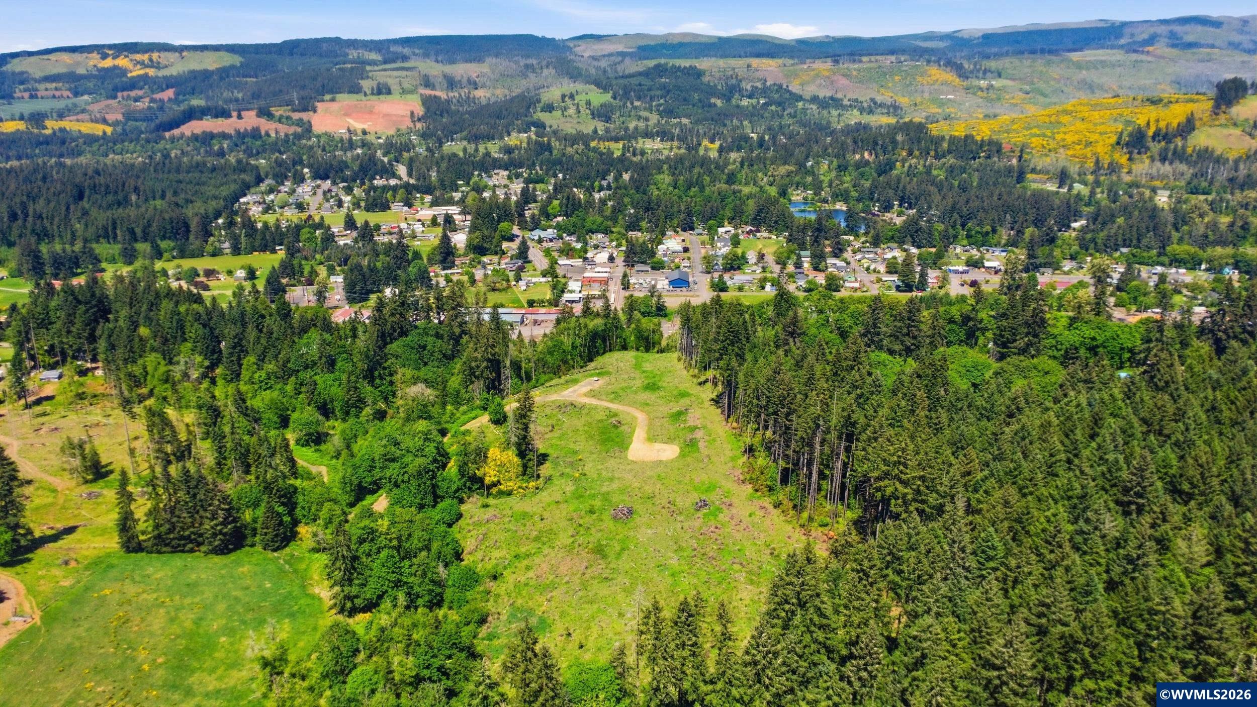Parcels # 0721288 & #0721296 Rd SW
