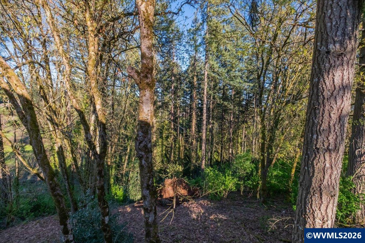 Next to 725 Shannon Dr NW