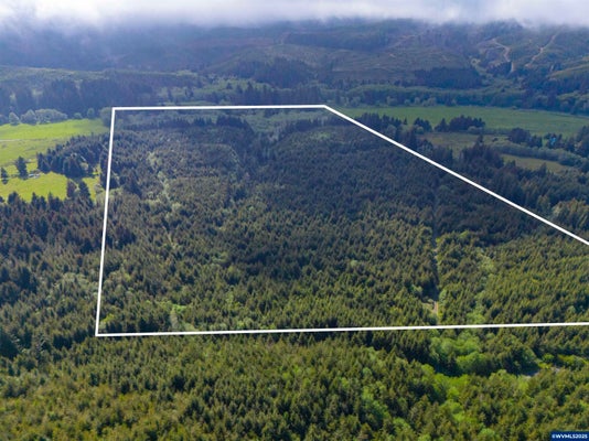 MILLER RD, SILETZ, OR 97380 - Image 2c1da107a229f997d3fd30b33e0724be/2617129706