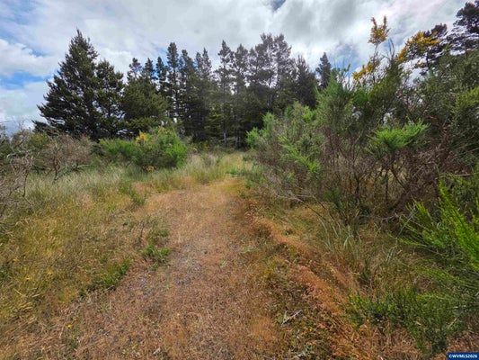 100 OREGON COAST HWY, FLORENCE, OR 97439 - Image 30a702affedd7ff8ec330c5d07e01687/3782870392