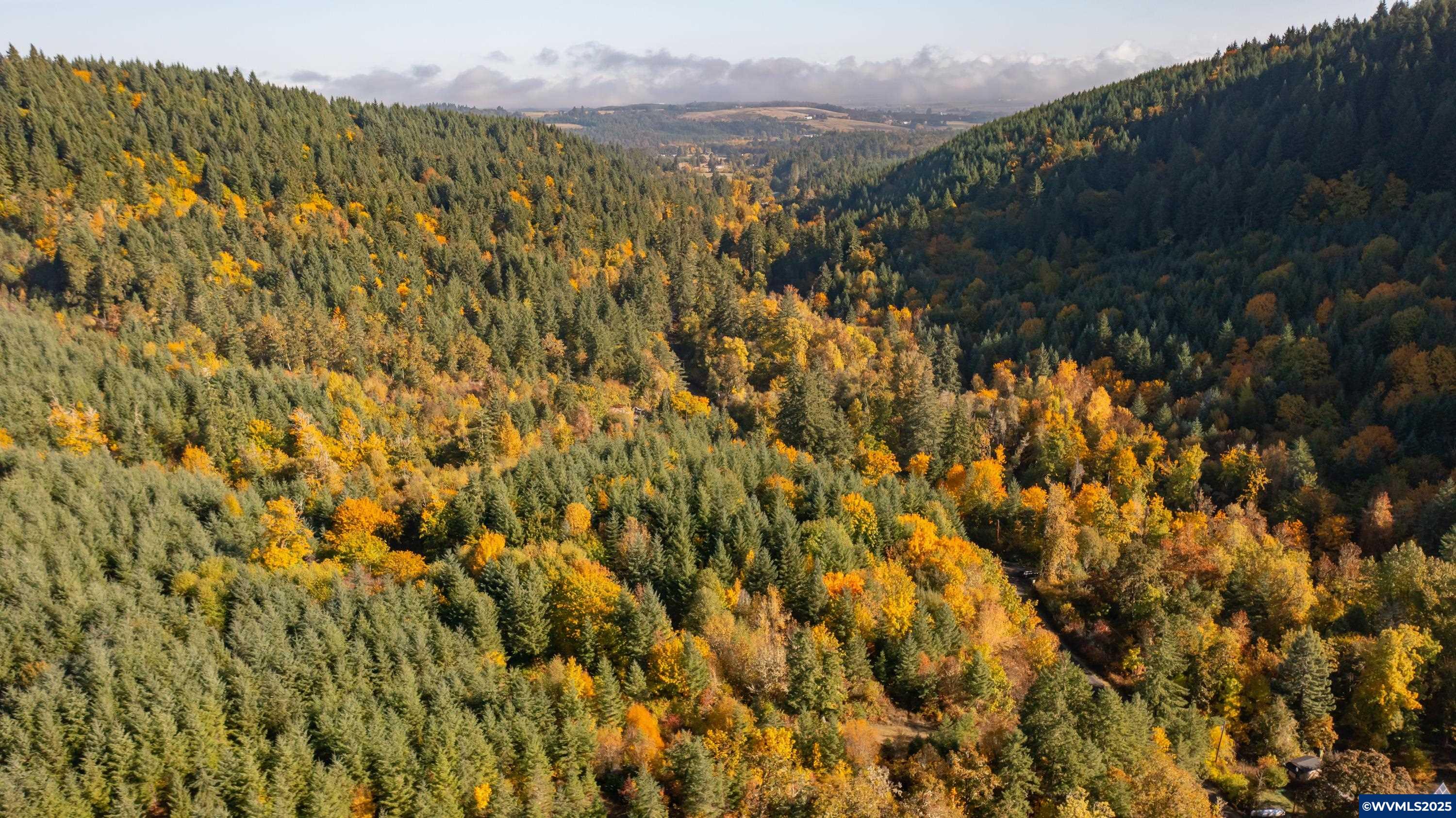 Dallas, Oregon 97338, United States, 2 Bedrooms Bedrooms, ,1 BathroomBathrooms,Residential,Active,231899