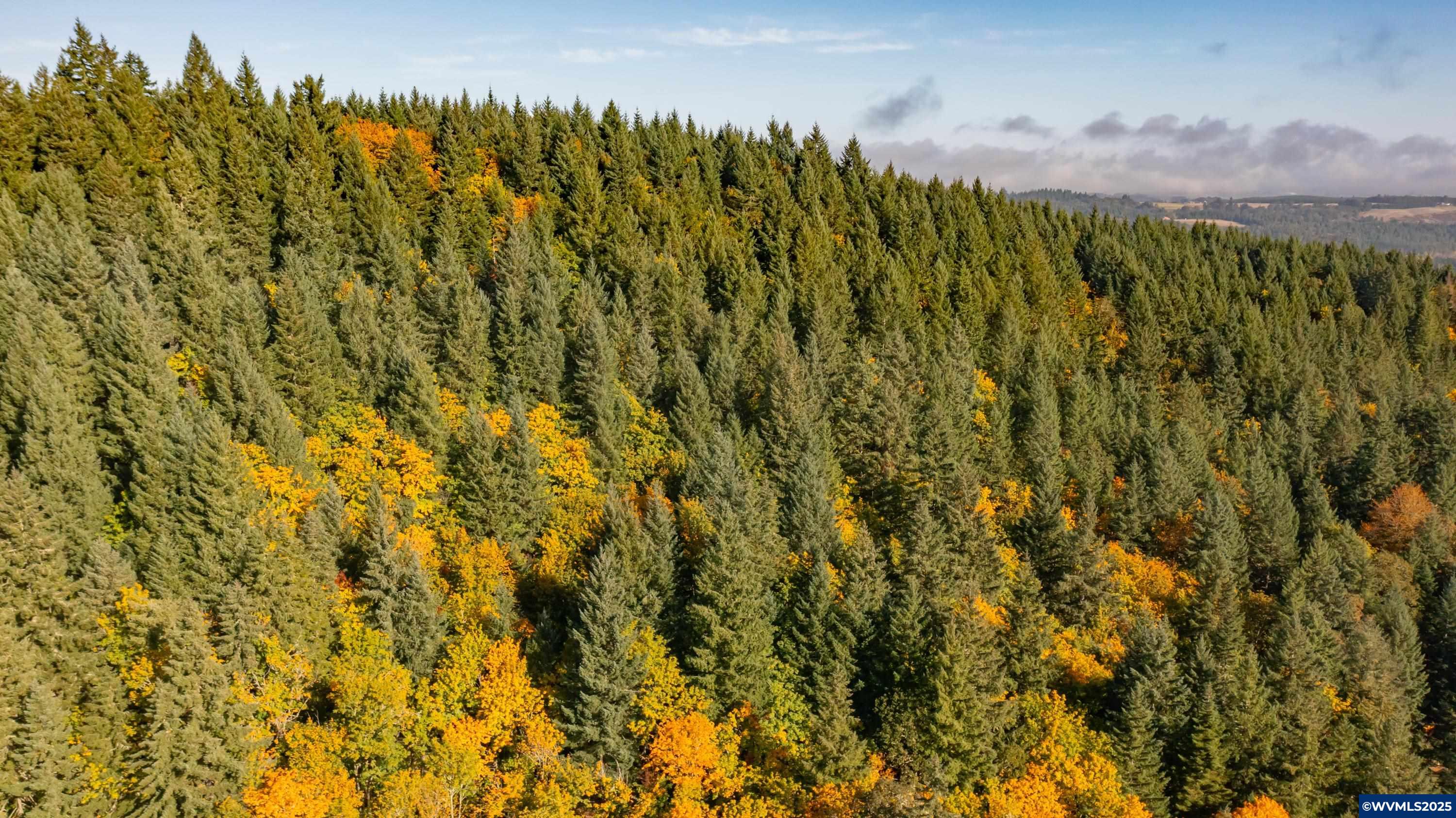 Dallas, Oregon 97338, United States, 2 Bedrooms Bedrooms, ,1 BathroomBathrooms,Residential,Active,231899